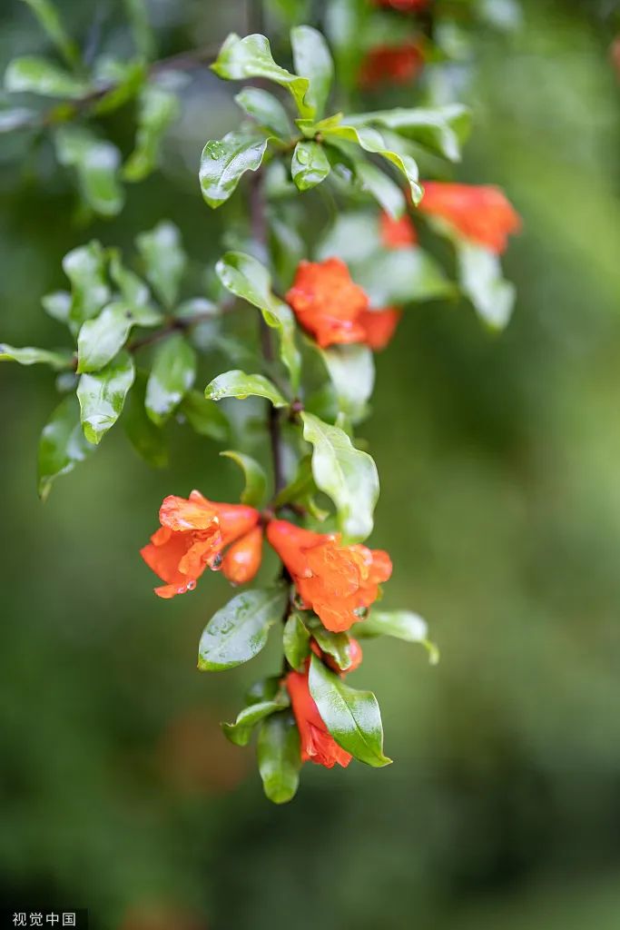 利博游戏官网(中国游)有限公司官网