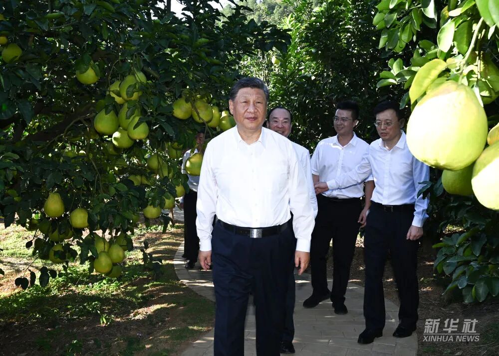 利博游戏官网(中国游)有限公司官网